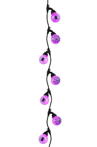 SL24C_03.webp