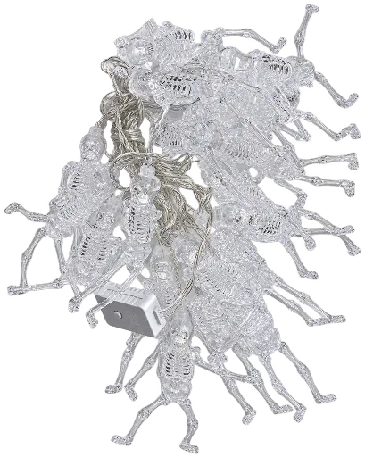 DM027_02.webp